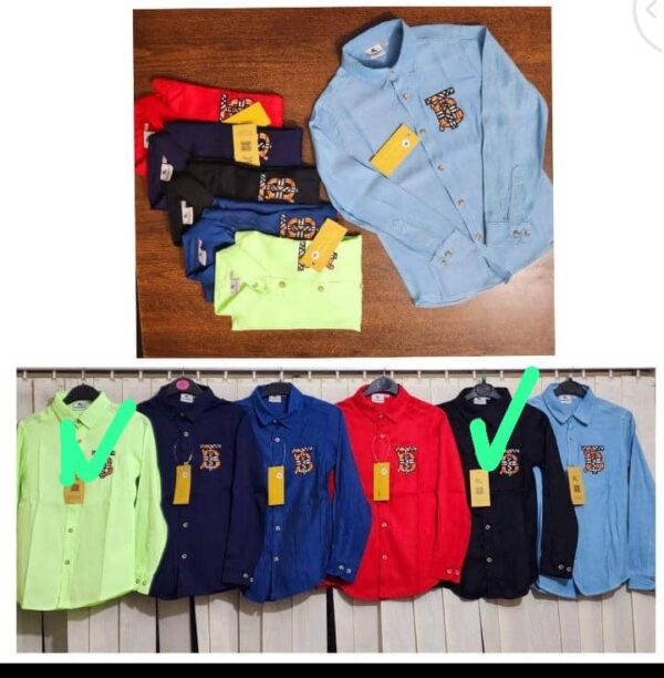 Boy's Quality shirt(4-10years)(FREE DELIVERY)