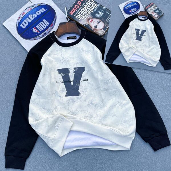 High Quality sweatshirt for men (free delivery)